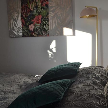 Aloes Studio Krakov Exteriér fotografie