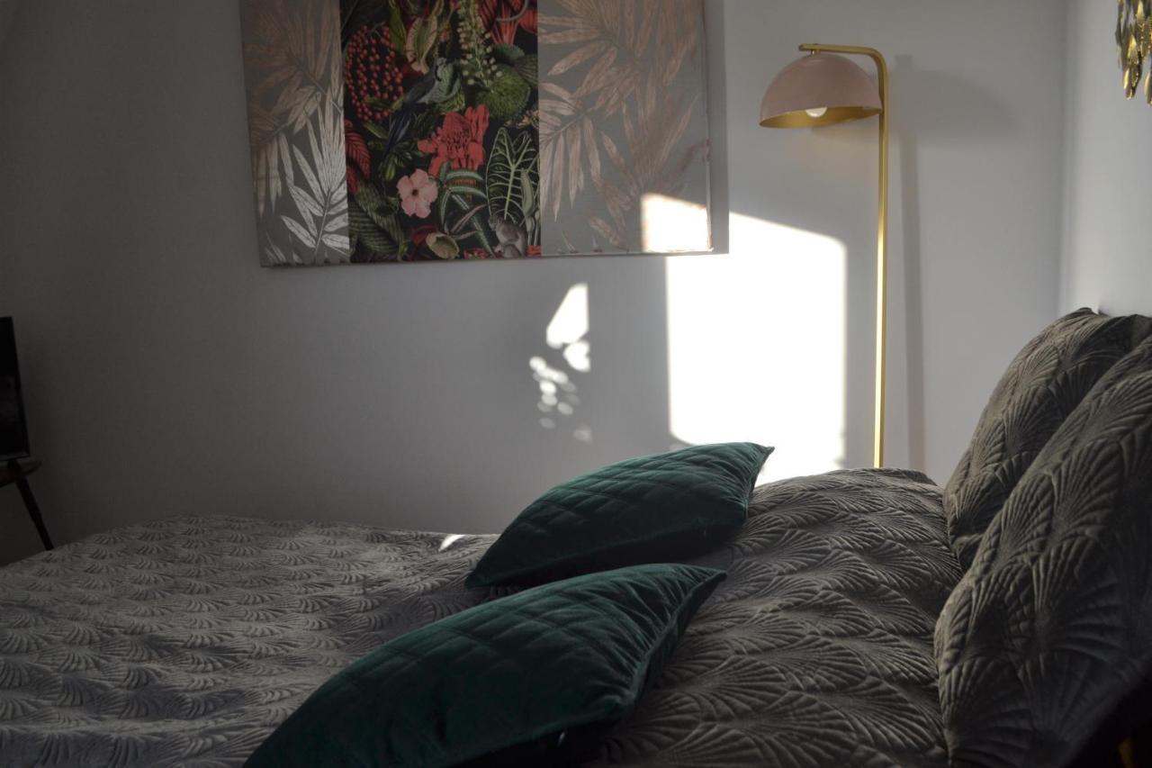 Aloes Studio Krakov Exteriér fotografie