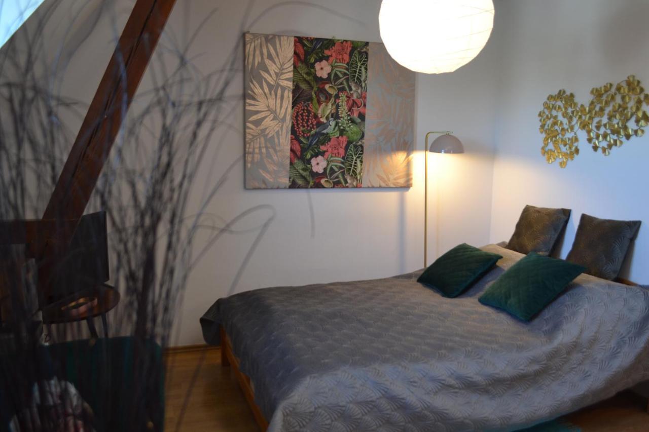 Aloes Studio Krakov Exteriér fotografie
