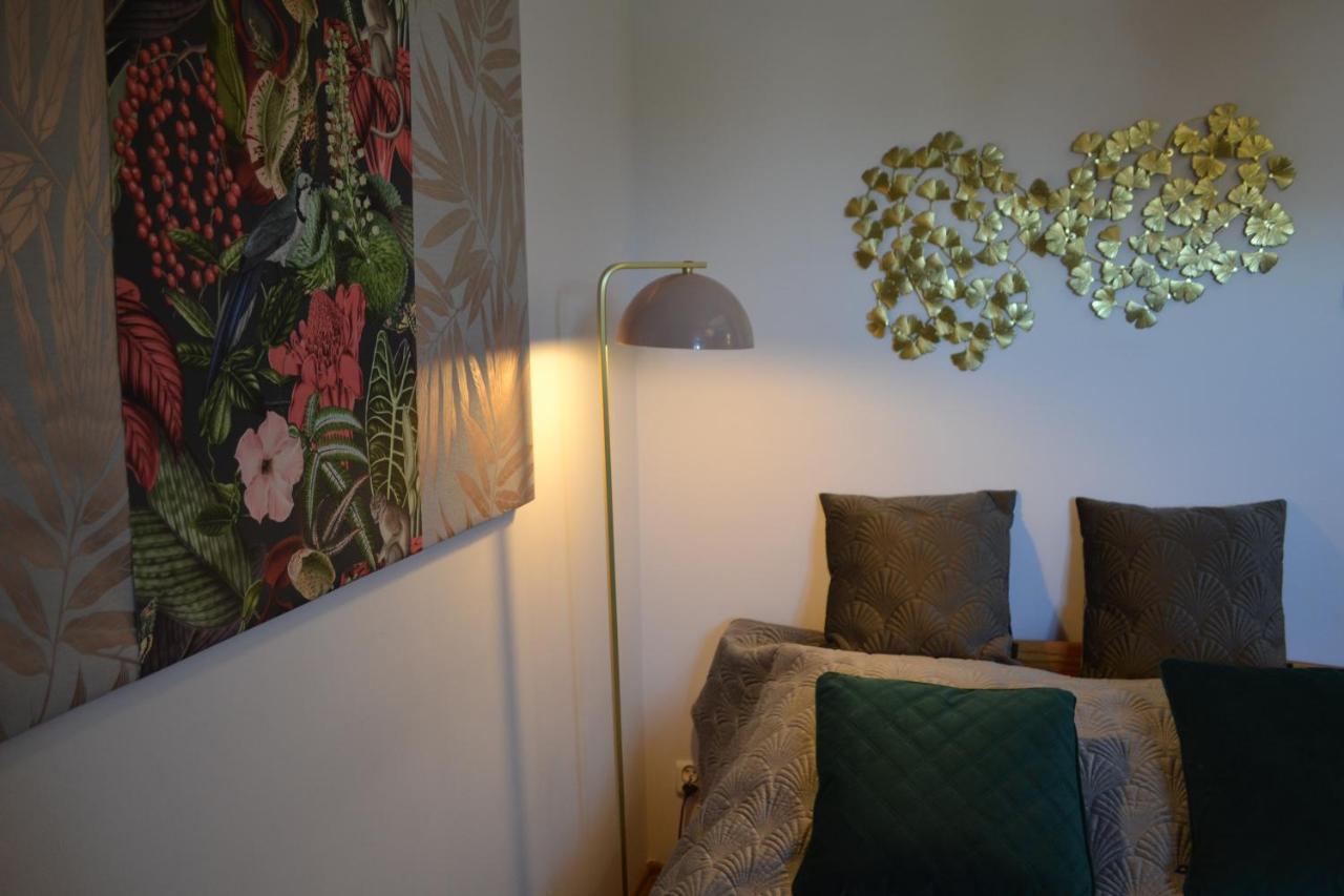 Aloes Studio Krakov Exteriér fotografie