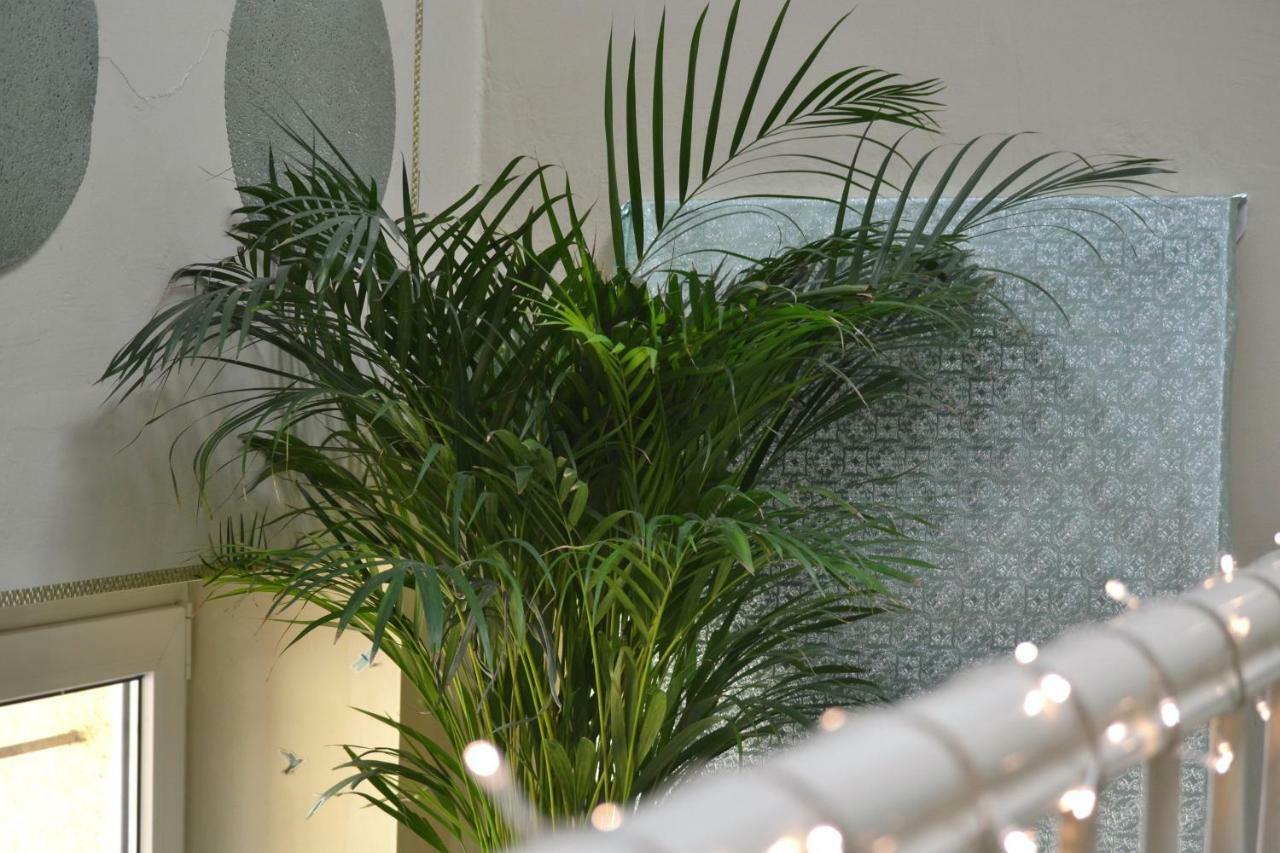 Aloes Studio Krakov Exteriér fotografie